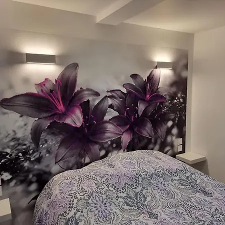 Enclos De La Rive 15 Pers Avec Piscine Chauffee Semesterbostad